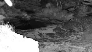 Still 2 from this detection