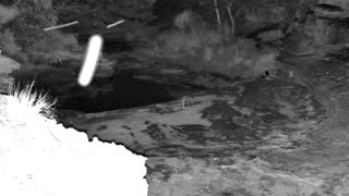 Still 1 from this detection