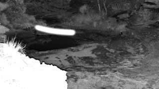 Still 2 from this detection