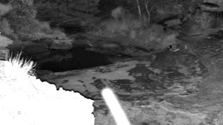 Still 2 from this detection