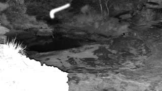 Still 3 from this detection