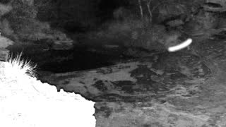 Still 1 from this detection