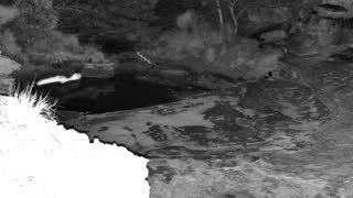 Still 2 from this detection