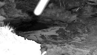 Still 1 from this detection