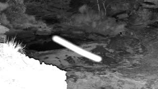 Still 2 from this detection