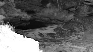 Still 1 from this detection