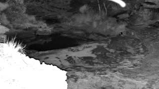 Still 2 from this detection