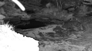 Still 2 from this detection