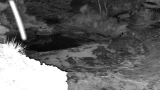 Still 1 from this detection