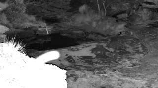 Still 2 from this detection