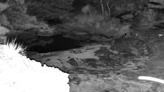Still 1 from this detection