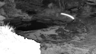 Still 1 from this detection