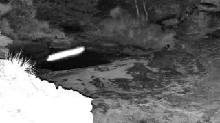 Still 3 from this detection