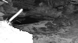 Still 2 from this detection