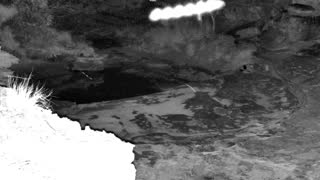 Still 1 from this detection