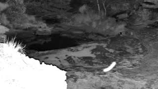 Still 1 from this detection