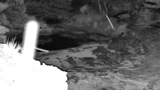 Still 1 from this detection