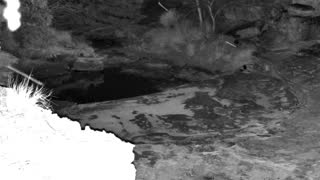 Still 1 from this detection