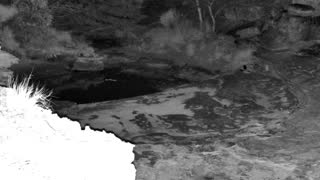 Still 2 from this detection