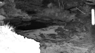Still 3 from this detection