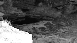 Still 3 from this detection