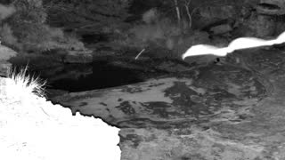 Still 1 from this detection