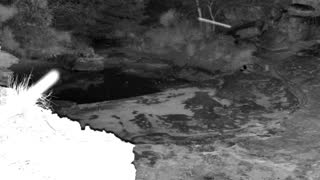 Still 3 from this detection