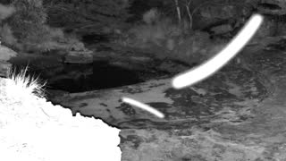 Still 2 from this detection