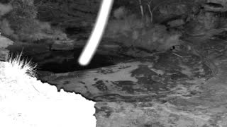 Still 1 from this detection