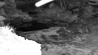 Still 3 from this detection