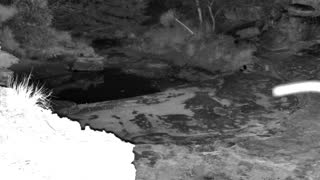 Still 1 from this detection