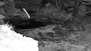 Still 2 from this detection