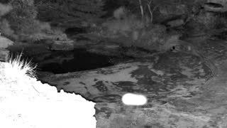Still 1 from this detection