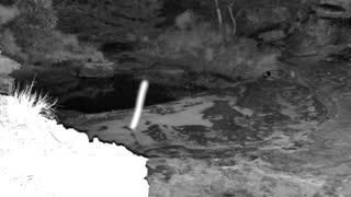 Still 1 from this detection