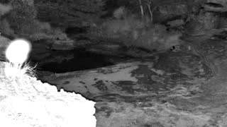 Still 1 from this detection