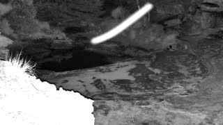 Still 2 from this detection