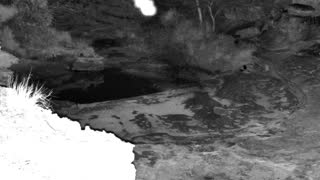 Still 2 from this detection