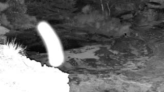 Still 1 from this detection