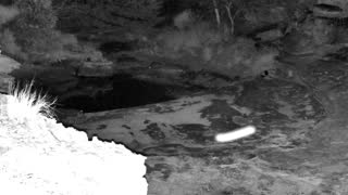 Still 2 from this detection
