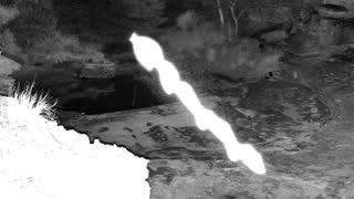 Still 2 from this detection