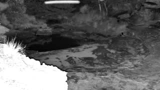 Still 2 from this detection