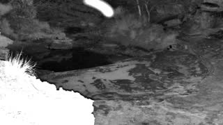 Still 2 from this detection