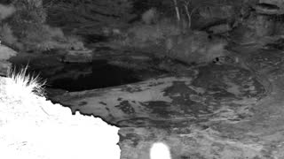 Still 2 from this detection
