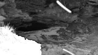 Still 1 from this detection