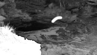 Still 2 from this detection