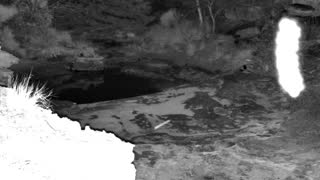 Still 2 from this detection