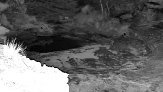 Still 2 from this detection