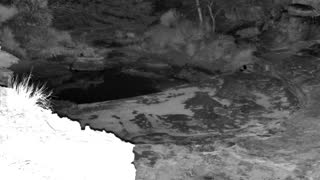 Still 1 from this detection