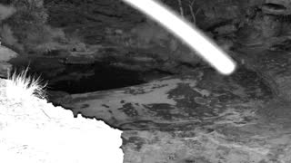 Still 1 from this detection
