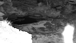 Still 3 from this detection